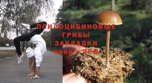 a pvp Беломорск