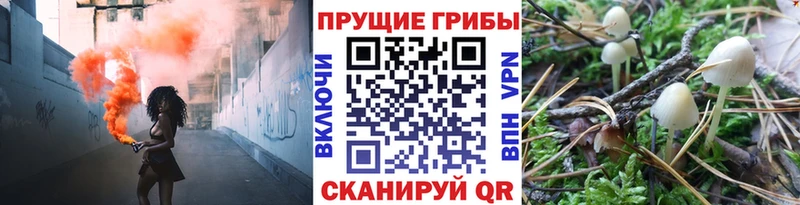 Галлюциногенные грибы прущие грибы  Окуловка 